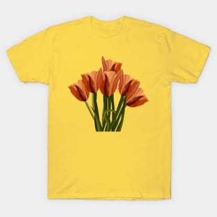 Tulips 1 T-Shirt